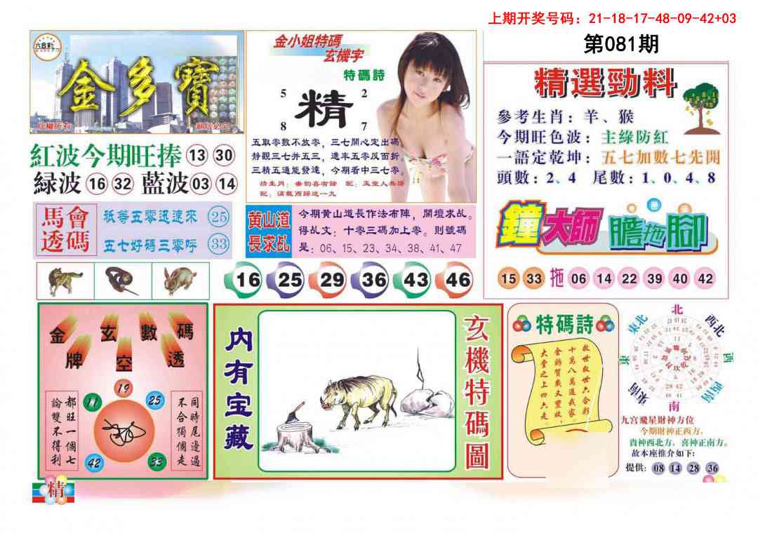 081期金多宝[图]